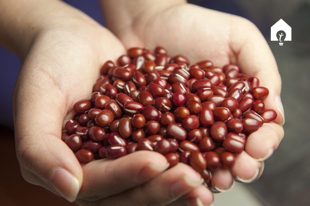 Animal Proteins Linked to Increased Mortality – Plants Decrease it
