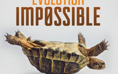 Evolution Impossible